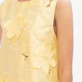Lara Applique Dress