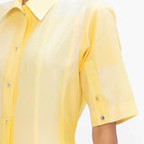Solar Silk Dress